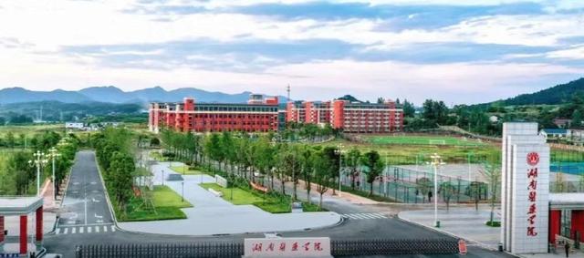 湖南医药学院2020年湖南省本科专业录取分数统计(图2)