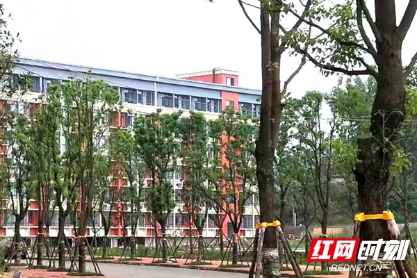 签约三大运营商湖南医药学院新校区通讯网9月完成建设(图1)