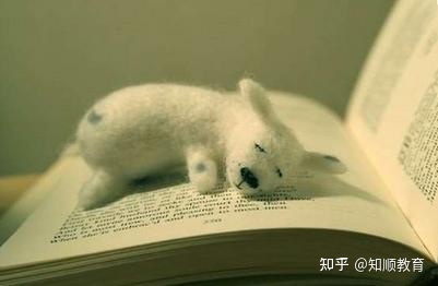 湖南中医药大学成人高考是几年制的呢-中医药大学成考需要多久(图1) 湖南中医药大学成人高考是几年制的呢-中医药大学成考需要多久(图1)