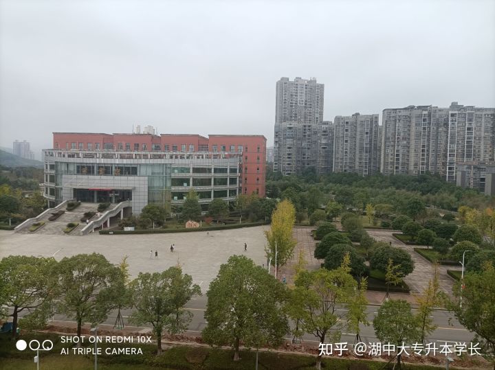 明年湖南中医药大学会统考吗？(图3)