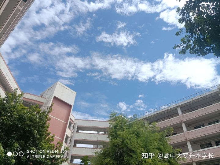 明年湖南中医药大学会统考吗?(图6) 明年湖南中医药大学会统考吗?(图6)