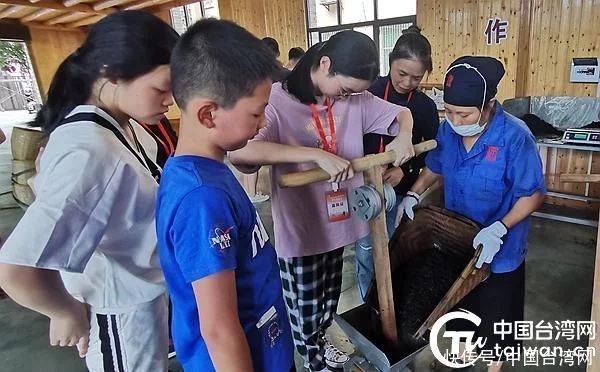 体验中华传统文化台湾青少年到益开展研学活动(图2)