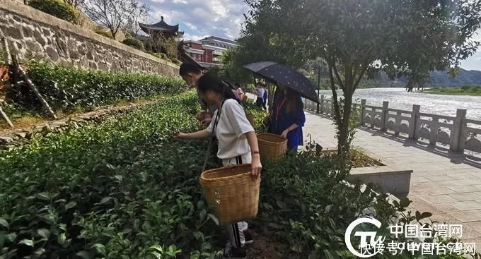 体验中华传统文化台湾青少年到益开展研学活动(图3)