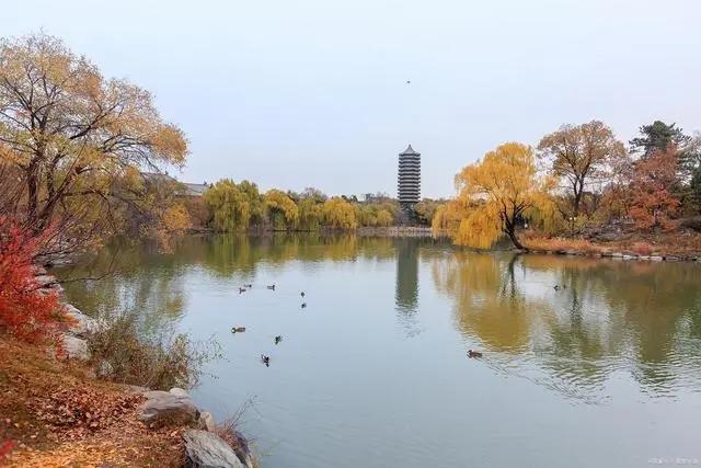 湖南专升本可以报考哪些大学专升本要什么条件(图2)